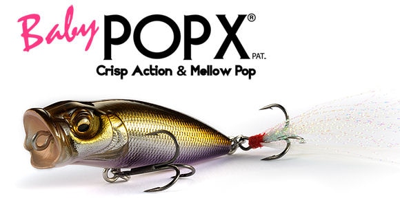 voil ポッパー　ボイル ポッパー/ダーター