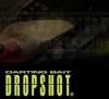 Tsunekichi Drop Shop(ツネキチ ドロップショット)