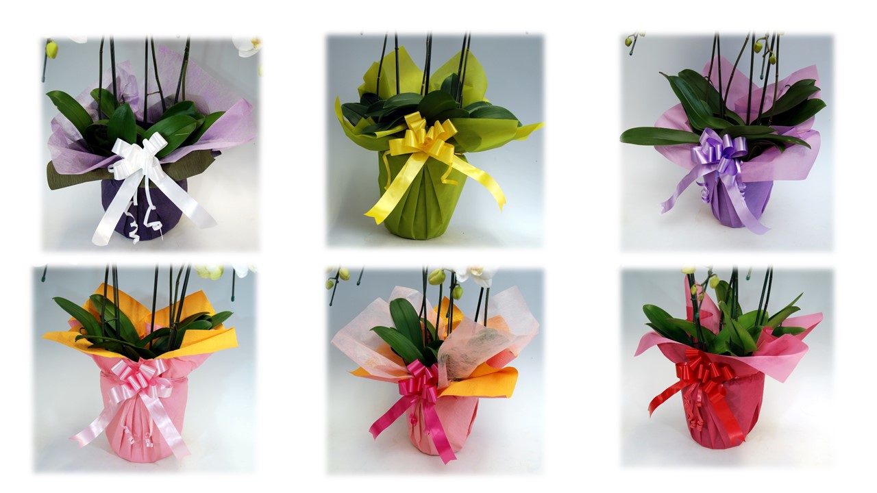 �ڸ�ĳ���ۡ���3��Ω��30�������