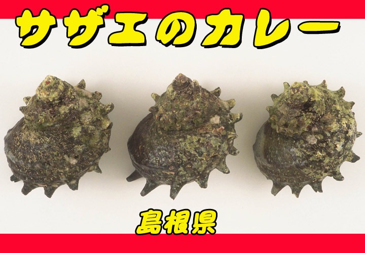 �礸��Ｑ�����������졼�� �纬�����ϥ��졼