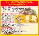 ���ꥸ�ʥ�ѥå��������졼������ߢ�40�ĥ��å�