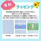 ���渵���졼���å� 2 ��ƻ�����ϥ��졼7�糧�å�