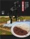 �Ṿ�����졼 ���줴���ϥ��졼