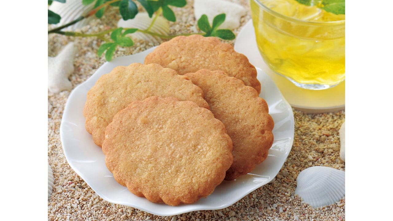 【千葉とみい】≪期間限定≫サブレ99（12枚入）