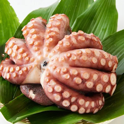 【ぼうまた水産】地だこ（1.3kg～1.5kg）