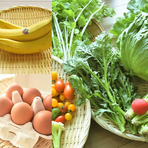 【リエビン】＜母の日＞旅する産直BOX｜おまかせ旬野菜7～8種類と卵とバナナのセット