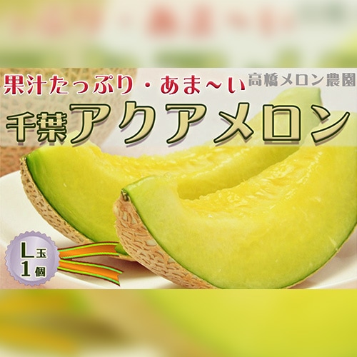【高橋メロン農園】千葉アクアメロン 1個（贈答用）