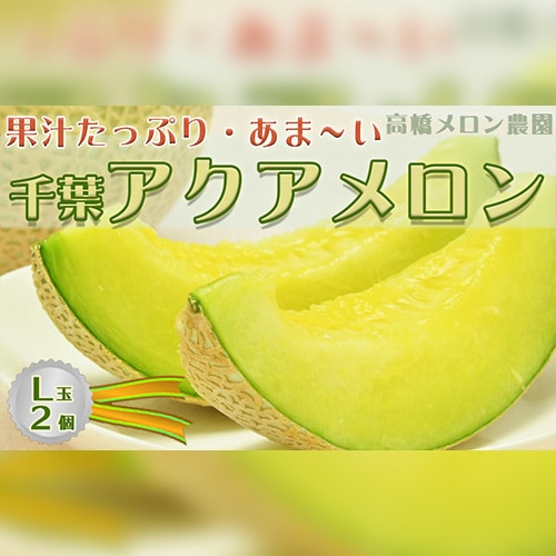 【高橋メロン農園】千葉アクアメロン 2個（贈答用）