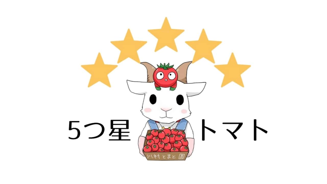 【川村とまと園】フルーツミニトマト1.2kg