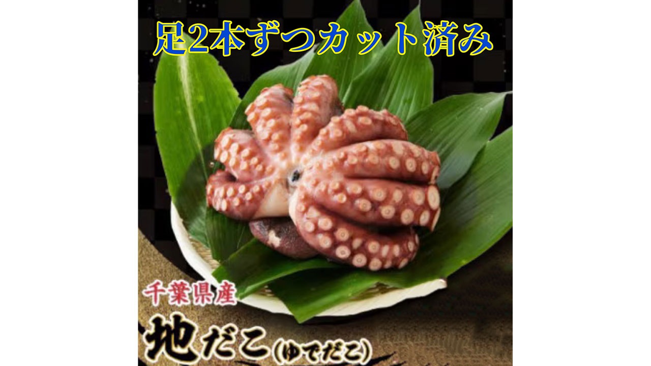 【ぼうまた水産】地だこ足真空パック（1.1kg～1.3kg）