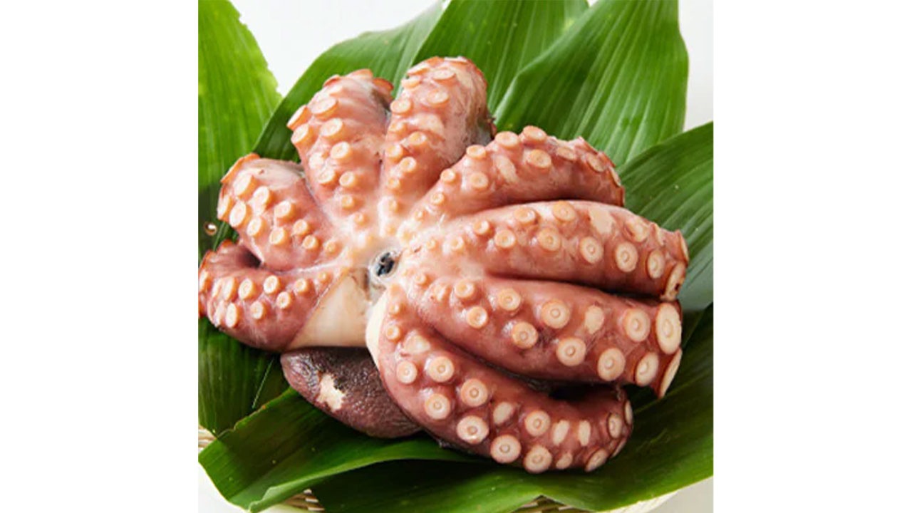 【ぼうまた水産】地だこ足真空パック（1.1kg～1.3kg）