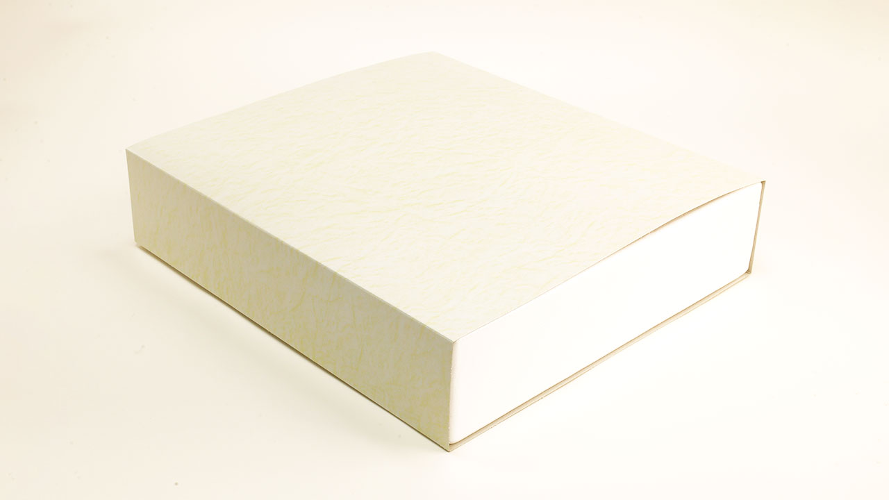 【石井大一商店】宮崎牛肩ロース薄切り 500g