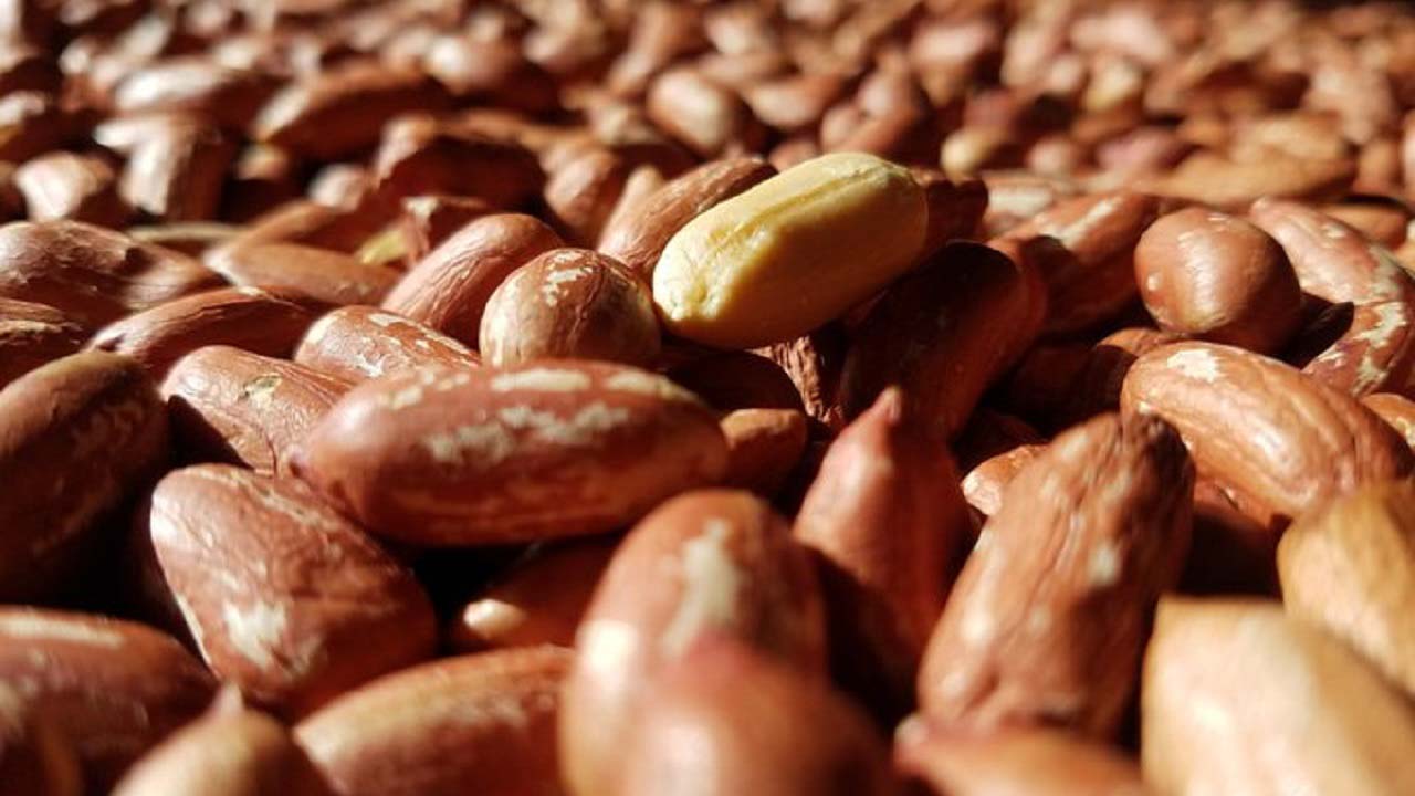 【オオノ農園】千葉県産素煎り落花生詰合せ6袋セット