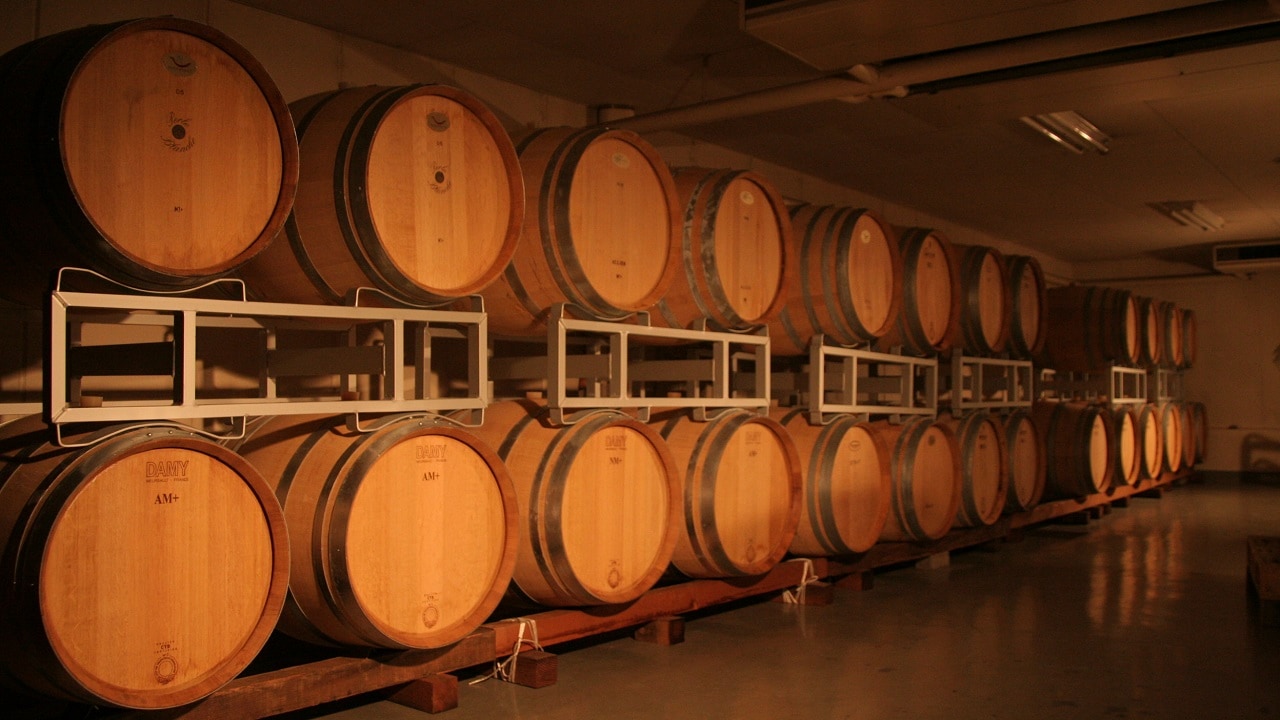 アデカ】＜送料無料＞天童にごりナイアガラ 1本