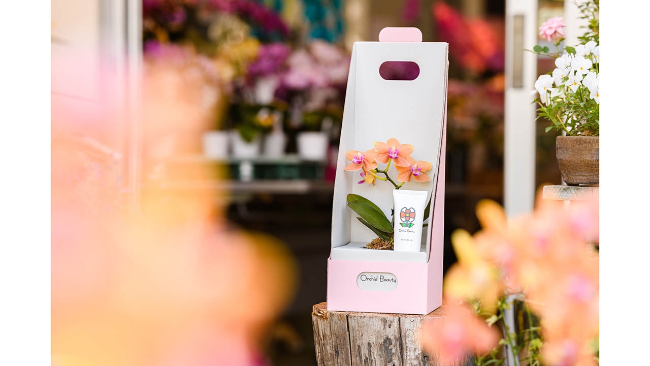 【オーキッドビューティー】小さな胡蝶蘭とハンドクリームセット（パプリカ）