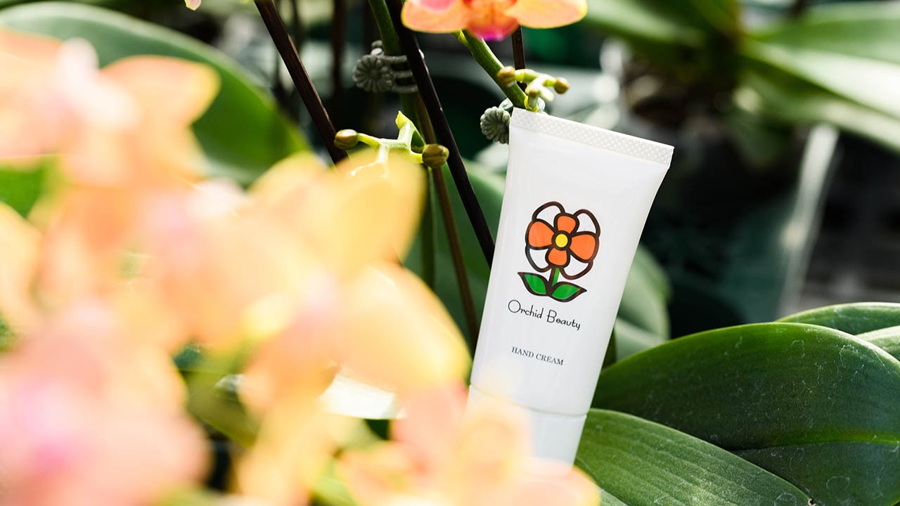 【オーキッドビューティー】小さな胡蝶蘭とハンドクリームセット（パプリカ）