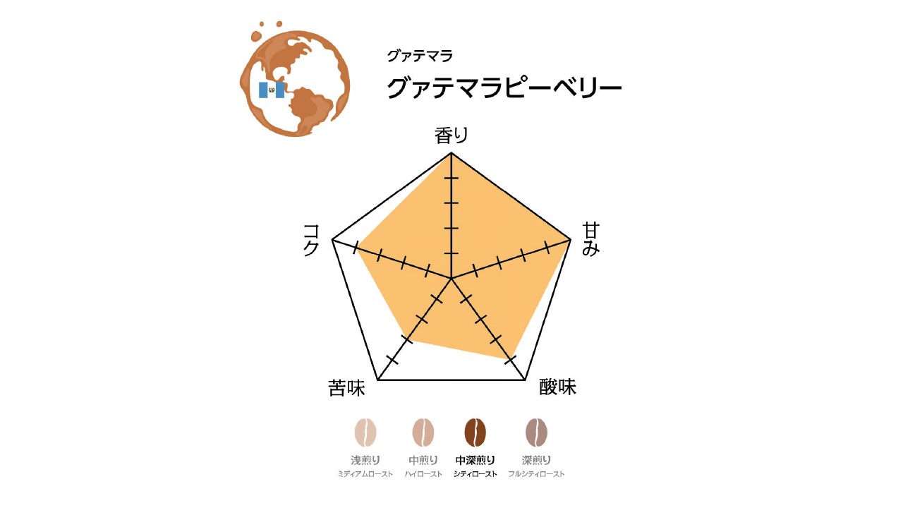 【焙煎処 クライム珈琲】コーヒー豆　グァテマラセット（粉400g）