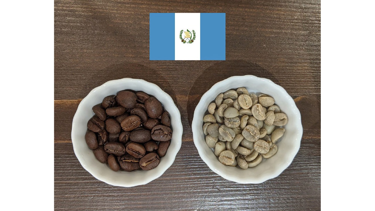 【焙煎処 クライム珈琲】コーヒー豆　グァテマラセット（豆400g）