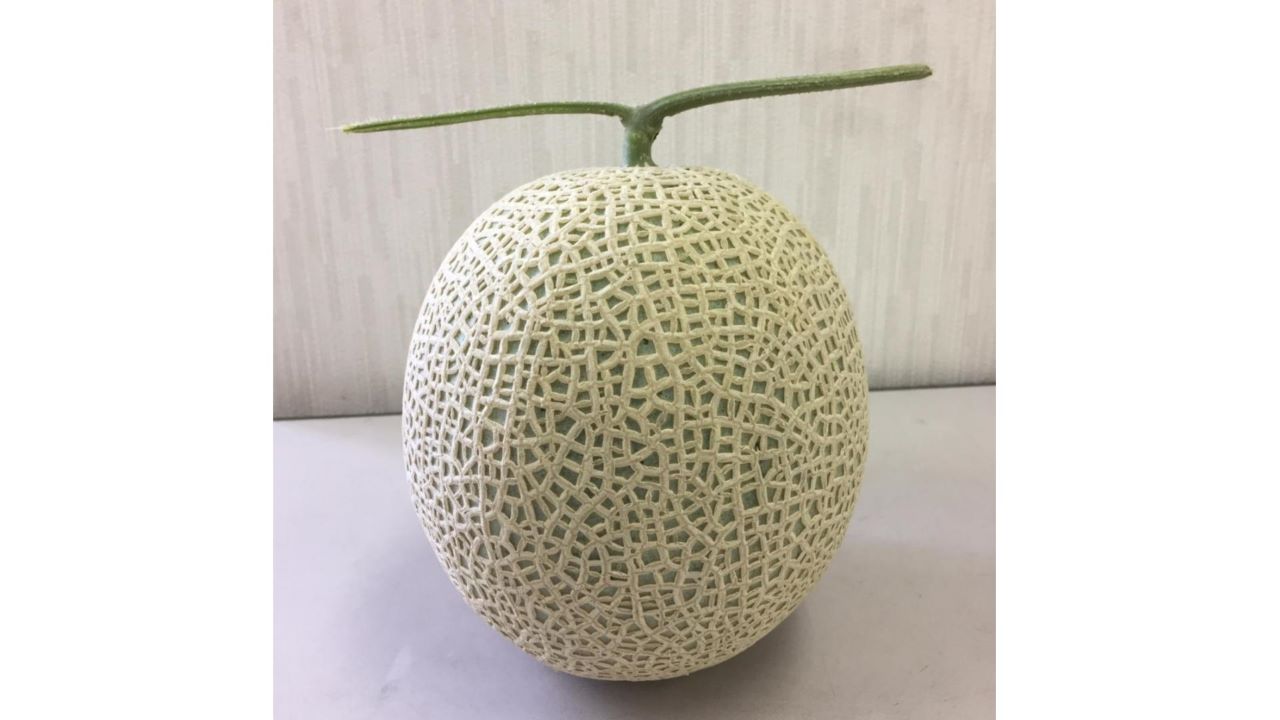 〈ご好評につき完売〉【石井農園】長生マスクメロン（1個）