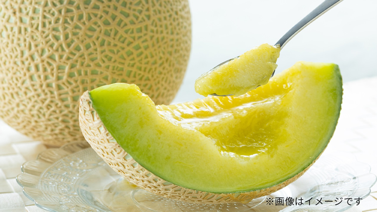 〈ご好評につき完売〉【石井農園】長生マスクメロン（1個）