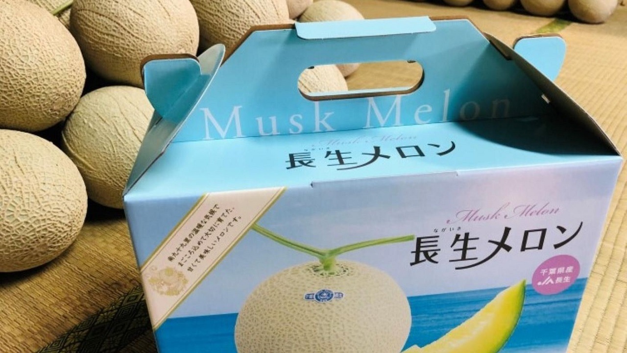 〈ご好評につき完売〉【石井農園】長生マスクメロン（1個）