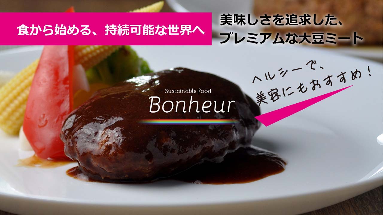 【Bonheur】濃厚ソースで美味しいハンバーグ詰合せ　6個入り