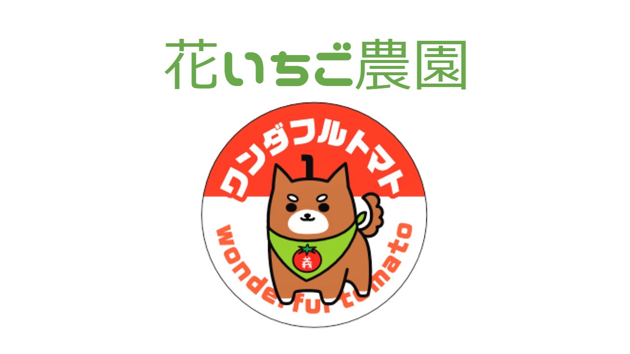 【花いちご農園】〈ワンダフルトマト〉ピューレ(500ml×1パック)