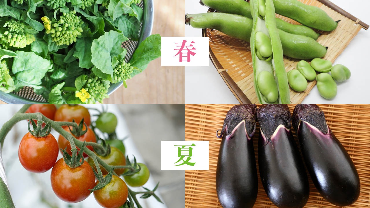 【早坂園芸】南房総産 季節の彩り野菜詰め合わせ【約8品】