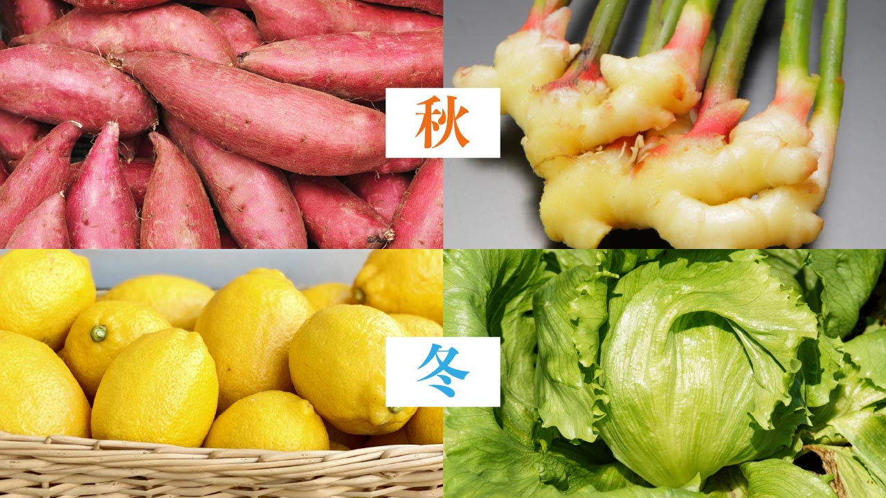 【早坂園芸】南房総産 季節の彩り野菜詰め合わせ【約8品】