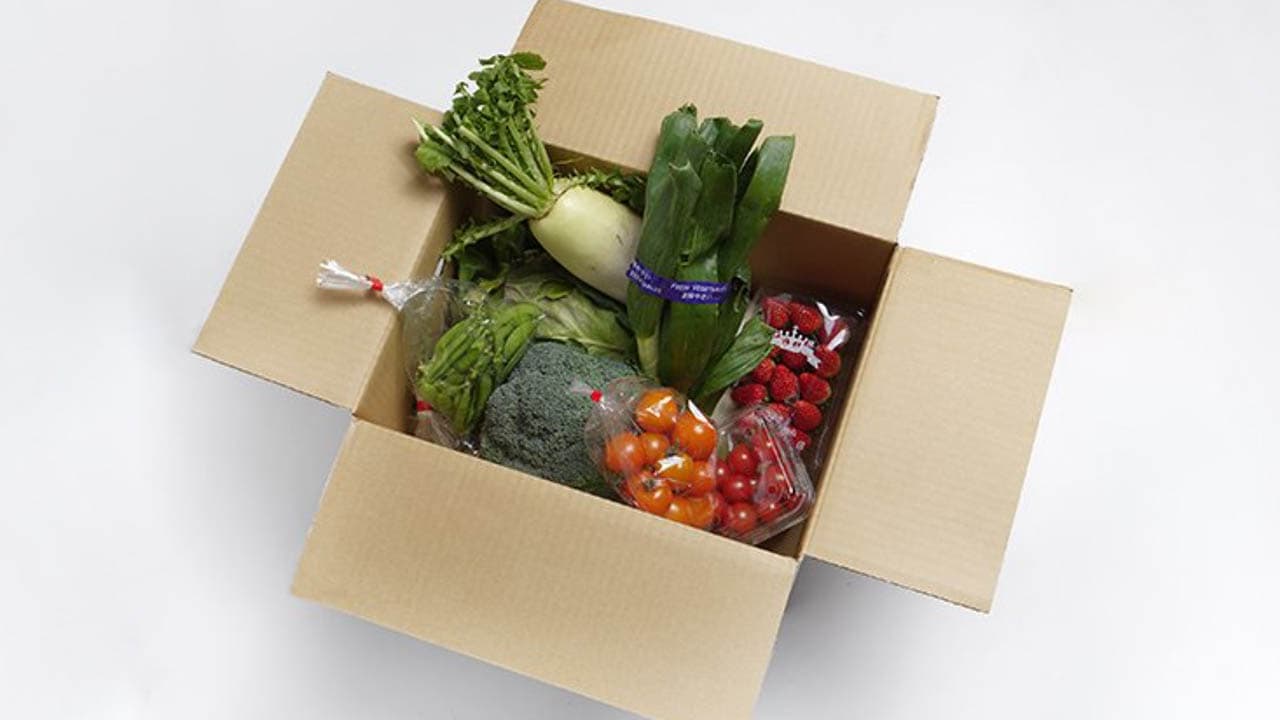 【早坂園芸】南房総産 季節の彩り野菜詰め合わせ【約8品】