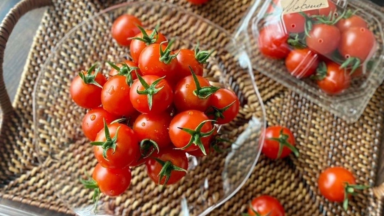 【石井農園】<送料無料>Makana&フルーティミニトマト(9パック入)