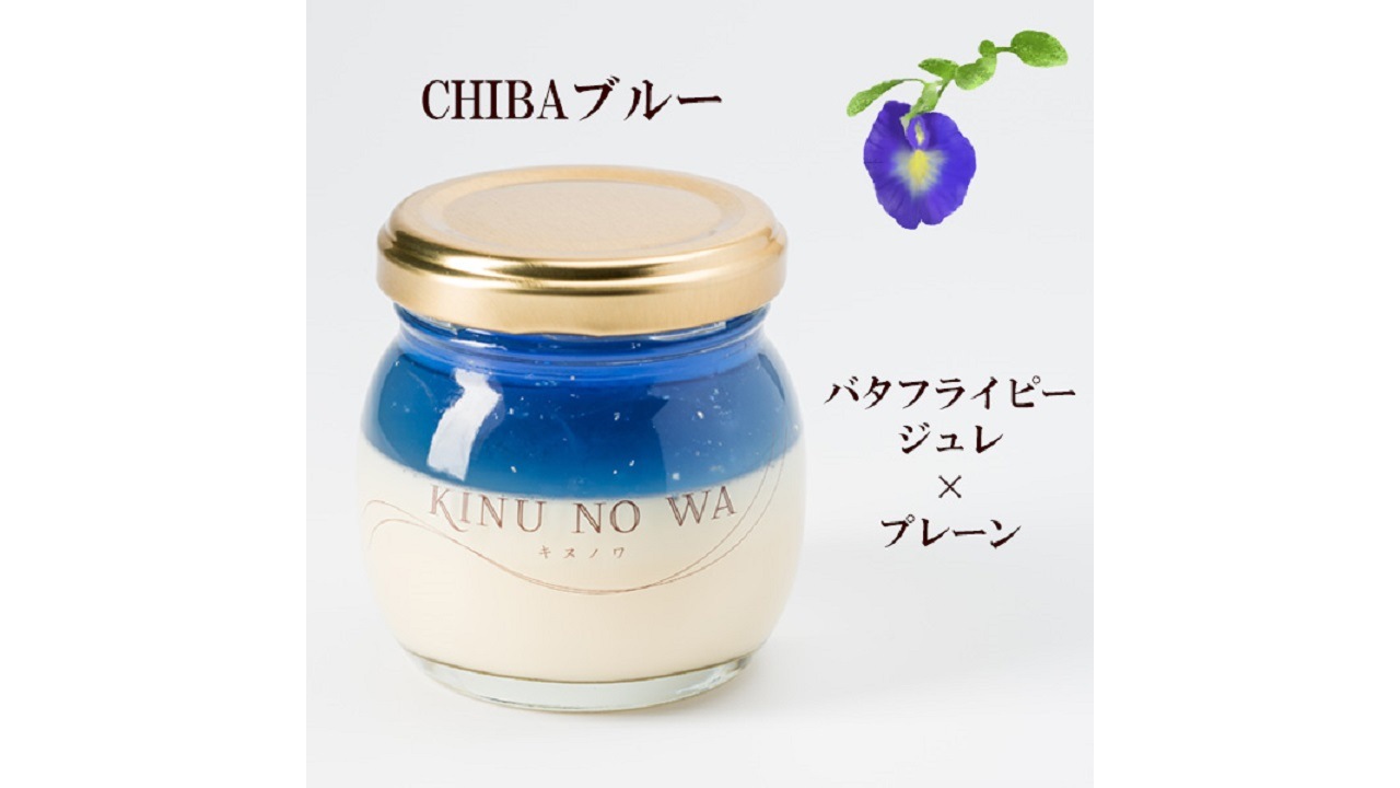 【ジビショウ】＜送料無料＞KINUNOWA（キヌノワ）プリン　プレーン＆いちご＆CHIBAブルー計6個セット