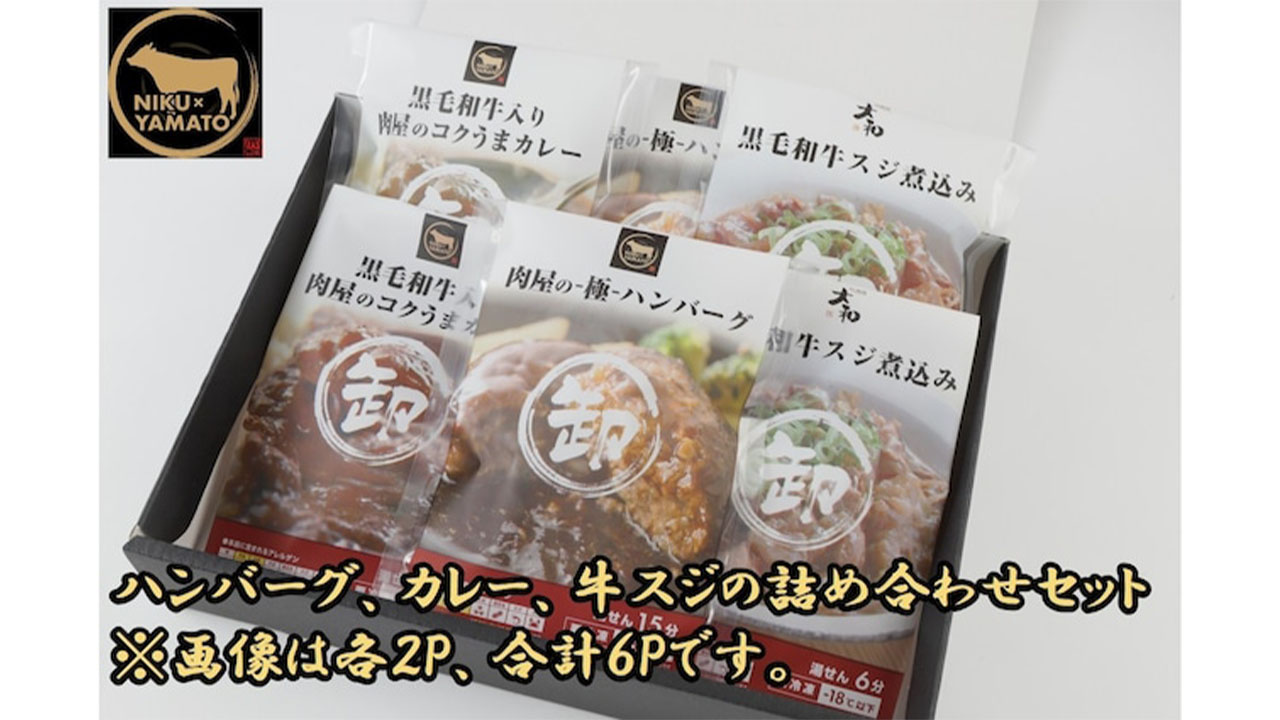 【肉匠大和】ハンバーグ、カレー、牛スジ盛り合わせセット各2p計6p