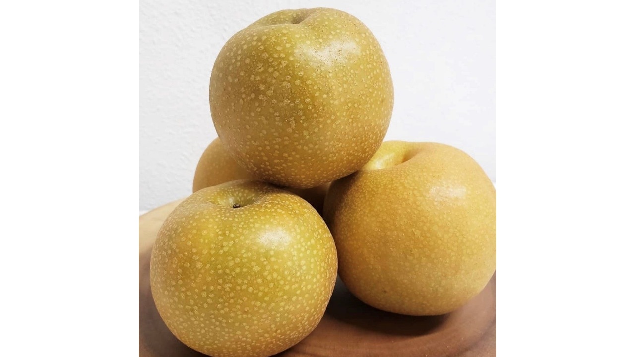 【天廣堂】与佐ヱ門梨月餅　10個入