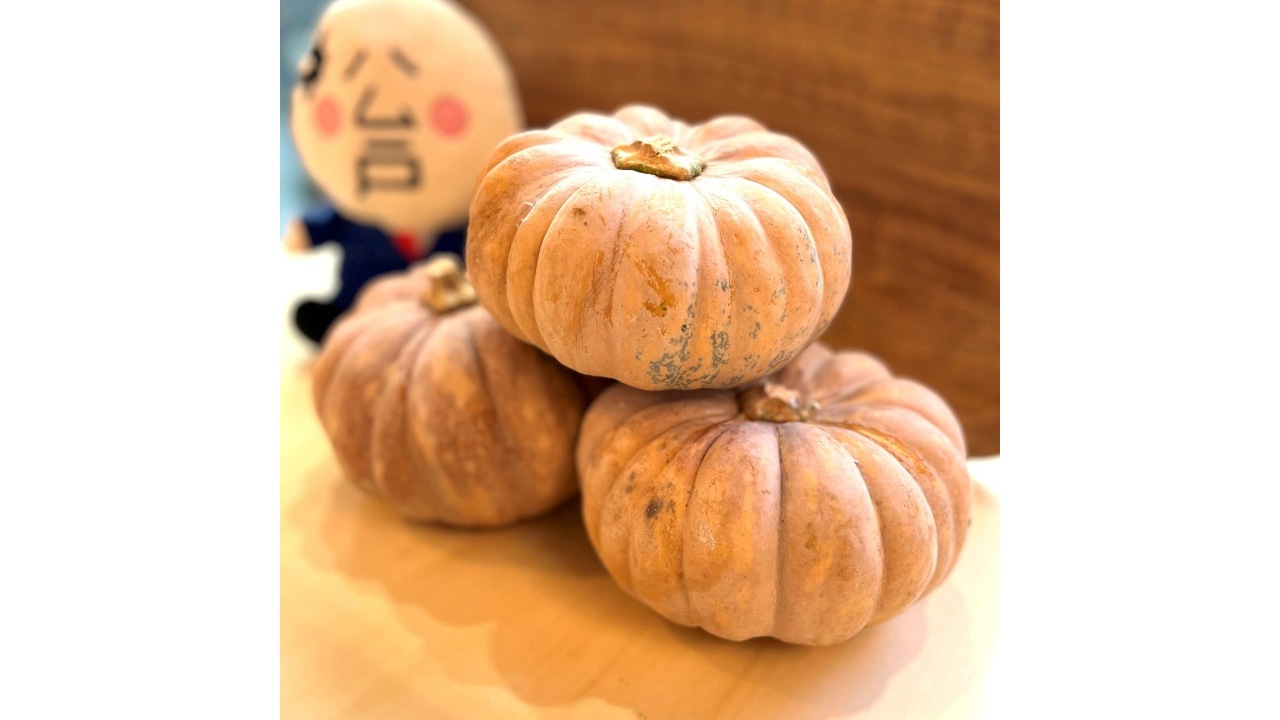 天廣堂】松戸白宇宙かぼちゃ月餅 8個入