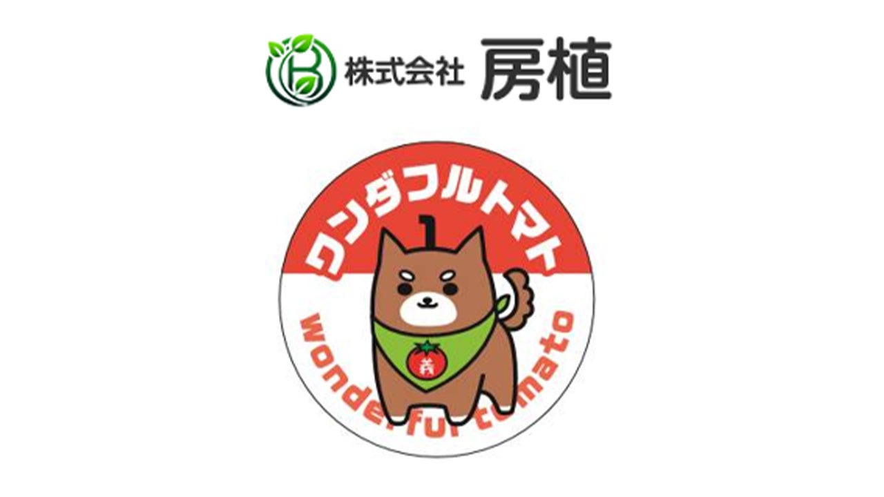 【房植】〈ワンダフルトマト〉赤 フルティカ1kg