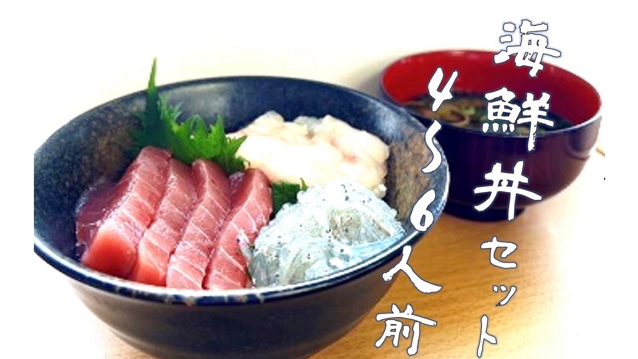 【シバショウ】<送料無料>海鮮丼セット4～6人前