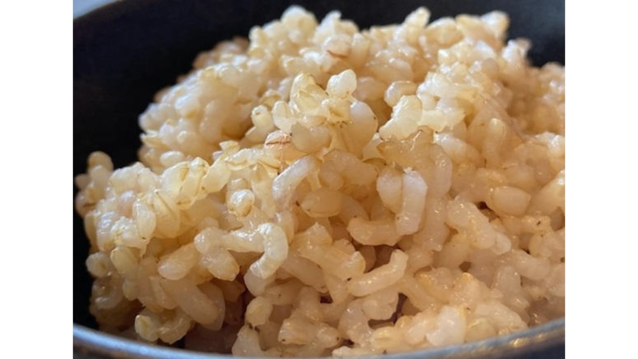 <送料無料>【かぐれstyle】循環玄米ごはん6食セット