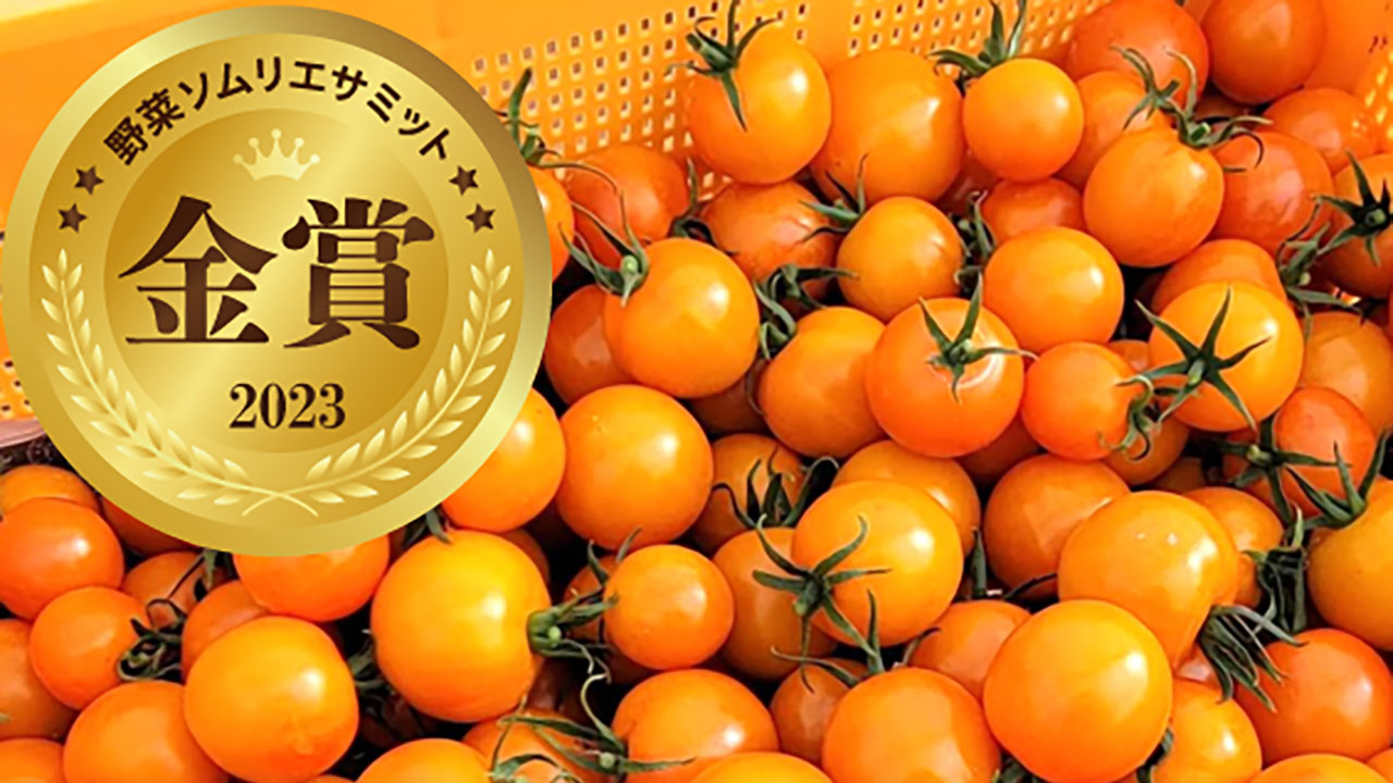 【房植】〈ワンダフルトマト〉フルティカ200g