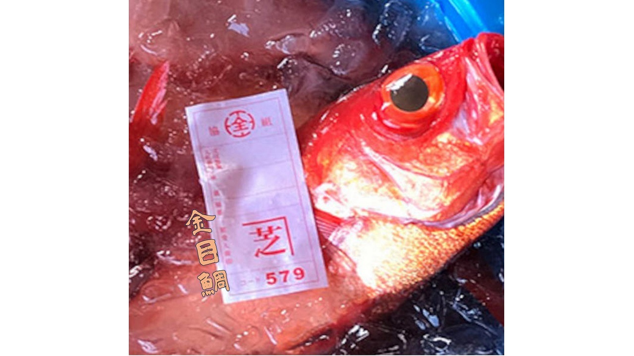 【シバショウ】<送料無料>金目鯛(まるごと)　1尾【液体凍結】