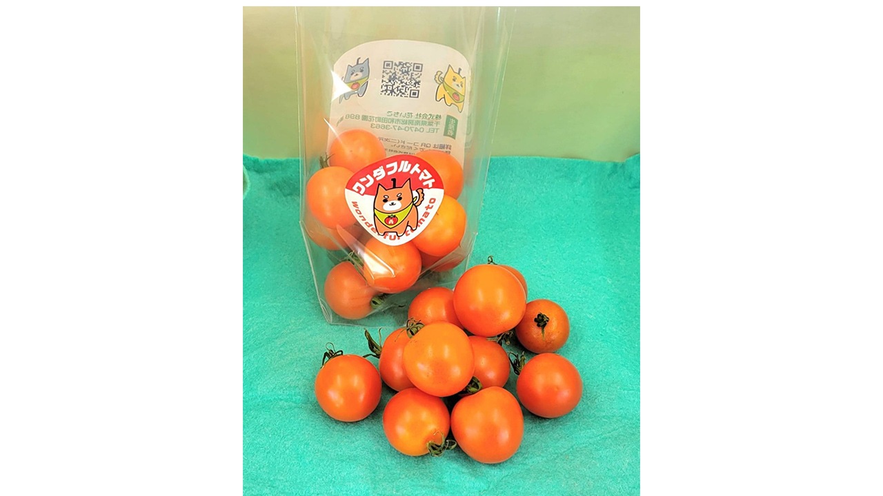 【房植】〈ワンダフルトマト〉ちばさんさん200g