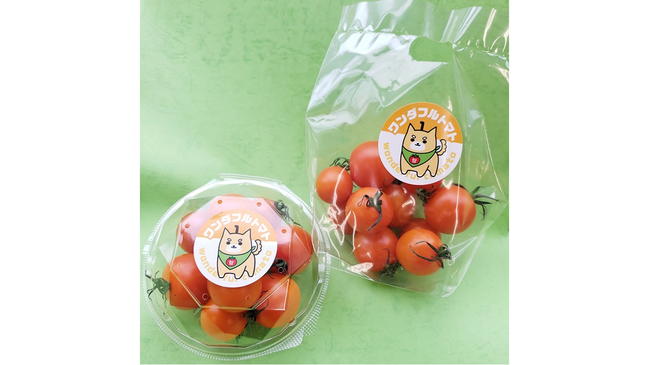 【房植】〈ワンダフルトマト〉ちばさんさん200g