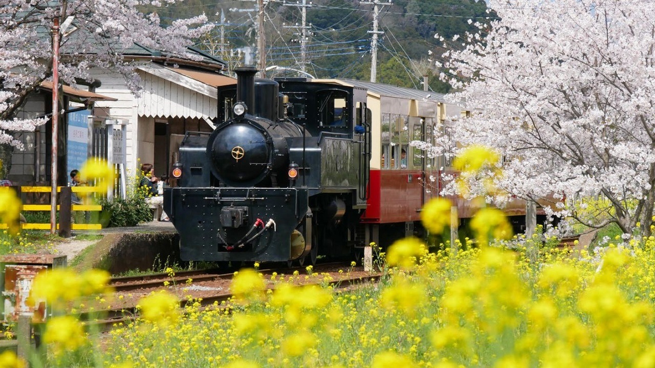 【小湊鐵道】宝箱型バケツ