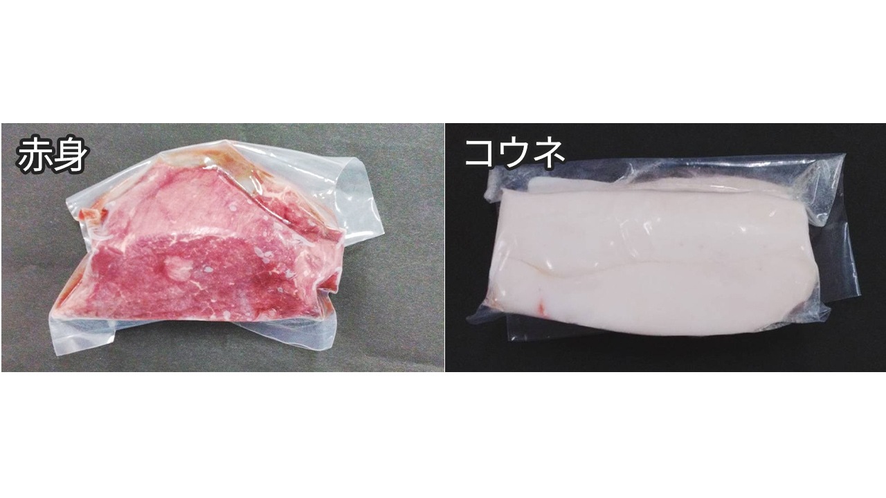 【小川フード＆サービス】＜送料無料＞熊本馬刺し 2種