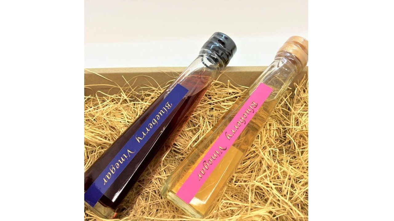 【SUNファーム】<送料無料>ブルーベリービネガー120ml ２色セット