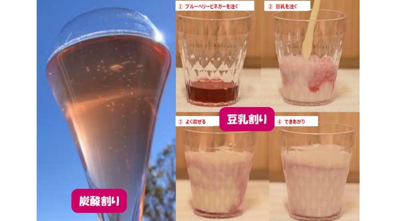 【SUNファーム】<送料無料>ブルーベリービネガー120ml ２色セット