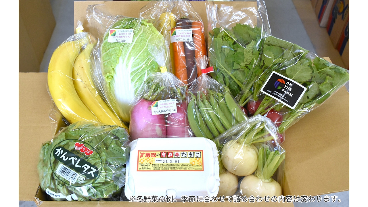 【リエビン】旅する産直BOX|おまかせ旬野菜7~8種類と卵とバナナのセット