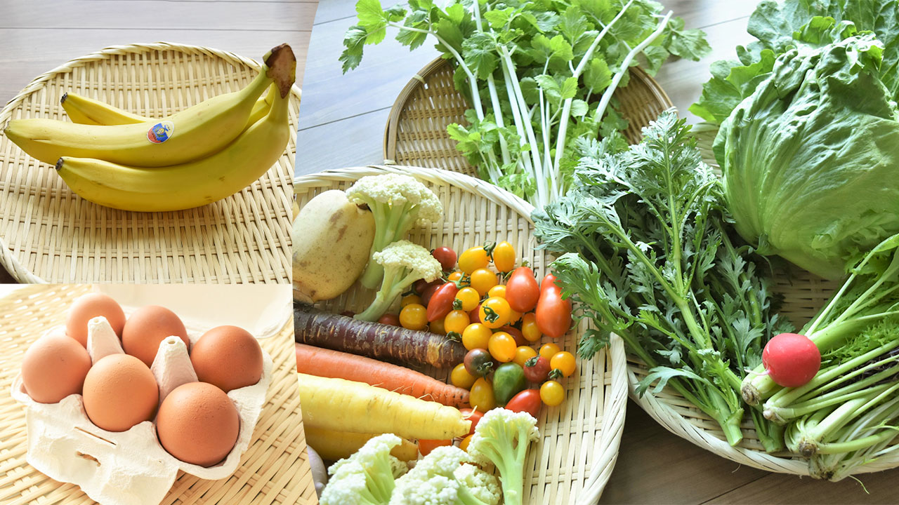 【リエビン】旅する産直BOX|おまかせ旬野菜7~8種類と卵とバナナのセット