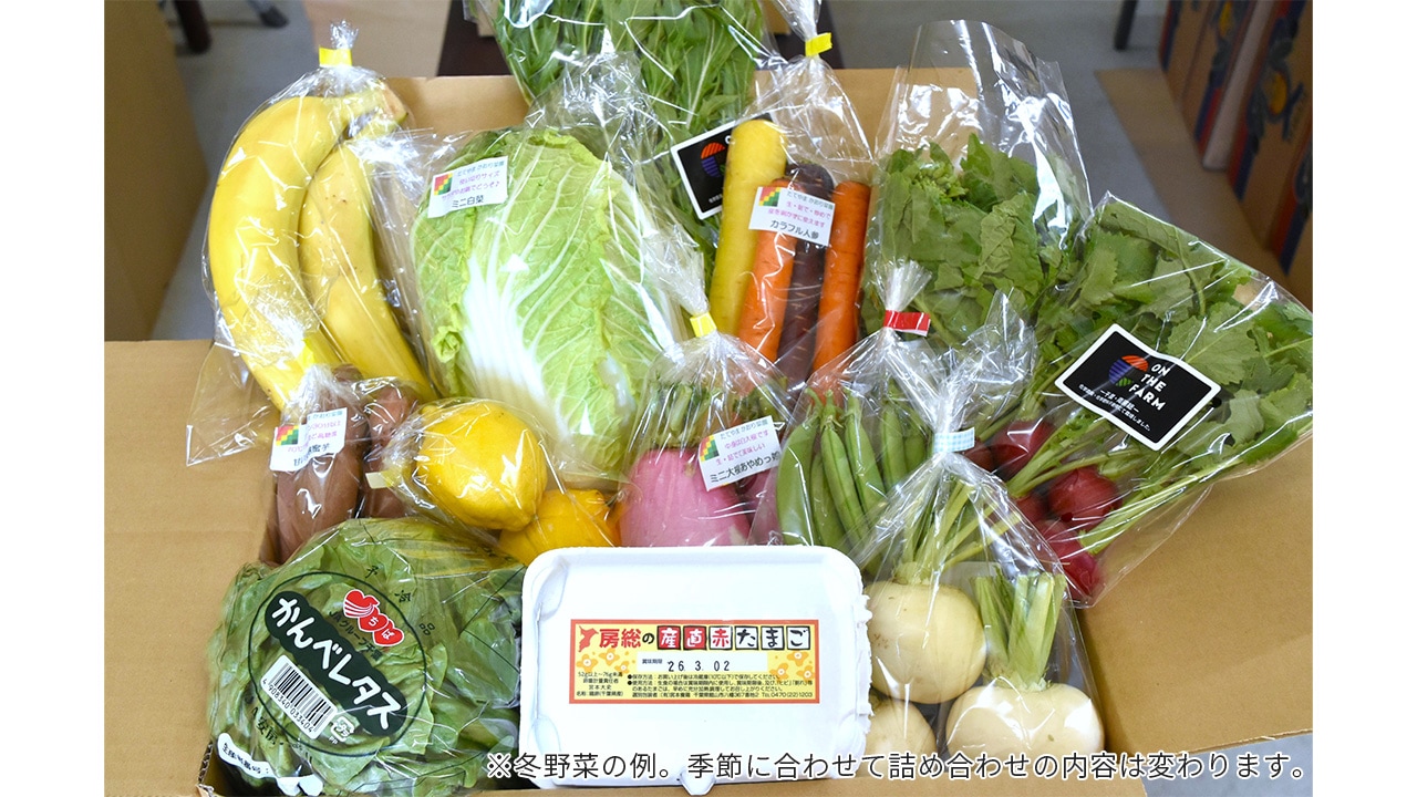 【リエビン】旅する産直BOX|おまかせ旬野菜10種類と卵とバナナのセット