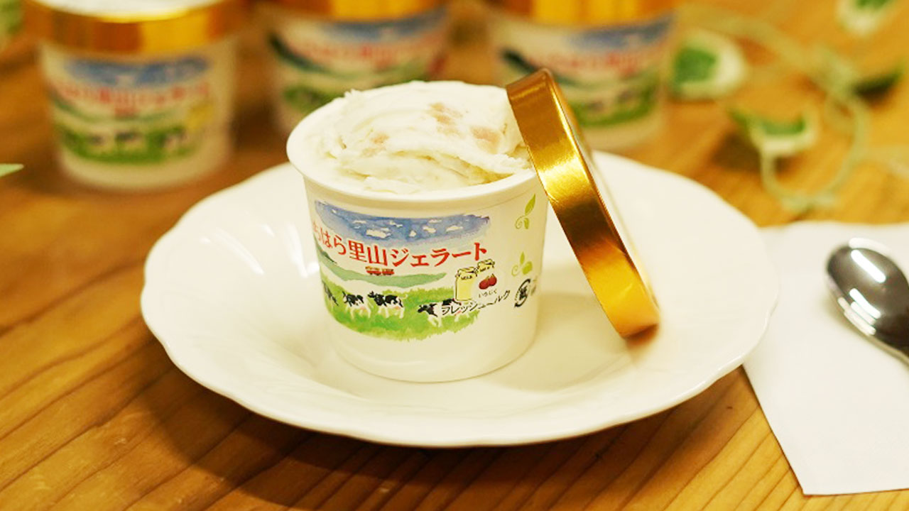 【いちはら里山ファーム】里山ジェラート8個セット